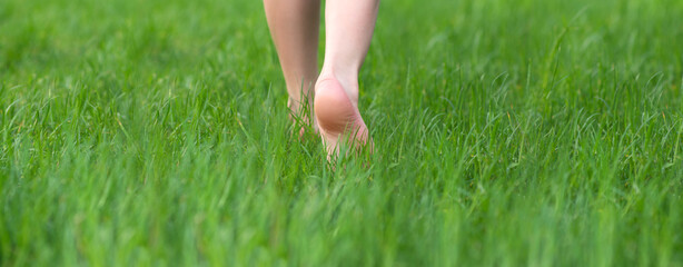 Kid foot walking in green grass on garden. Barefoot concept and healthy feet. Panorama banner.