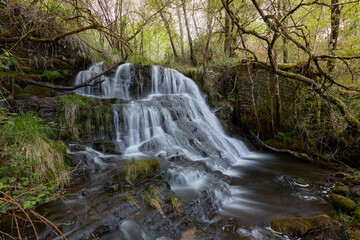 Fototapeta na wymiar Waterfall in a beautiful forest in the area of Galicia, Spain.