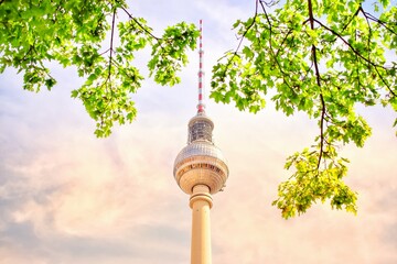 TV tower in the background of leaves in Berlin