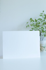 blank white paper page with green pot plant on background
