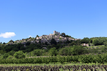 Fototapeta na wymiar Blick auf das alte Bergdorf Lacoste und seine Weingärten in der Provence, Frankreich