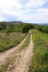 Fototapeta na wymiar Feldweg durch die sonnigen Obstgärten der Provence in Richtung Lacoste, im Hintergrund auf einem Hügel gelegen