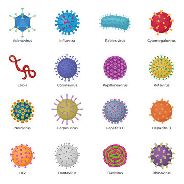 Viruses illustrations. Microb bacillus ebola microorganism pictogram pharmaceutical laboratory symbols recent vector microorganism signs templates