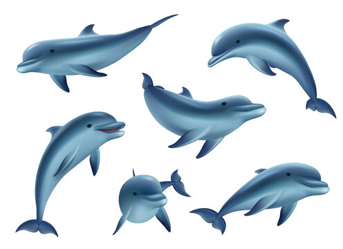 Swim dolphins. Aquarium or ocean underwater marine animals big funny and kind fishes decent vector 3d dolphins in action poses