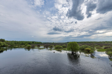 Clouds over the horizon. Landscape with a river and bushes along the shore. Bright green trees and bushes. Early spring.