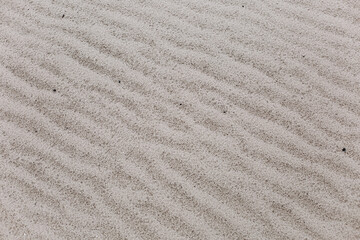 Fototapeta na wymiar sandy desert deserted beach texture background resort