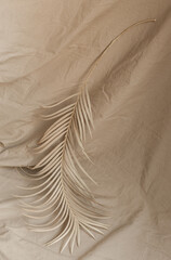 dry palm branch fabric background beige decor