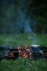 Bonfire smokes in the forest