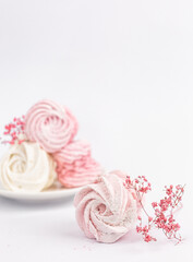 Obraz na płótnie Canvas marshmallow colored fruit pink white sweet dessert