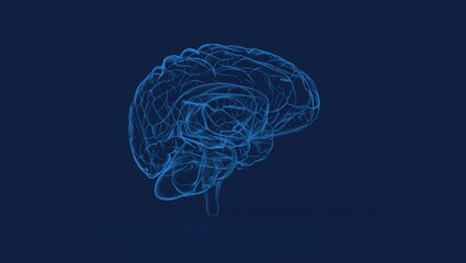 Creative background, the human brain on a blue background, the hemisphere is responsible for logic, and responsible for creativity. of different