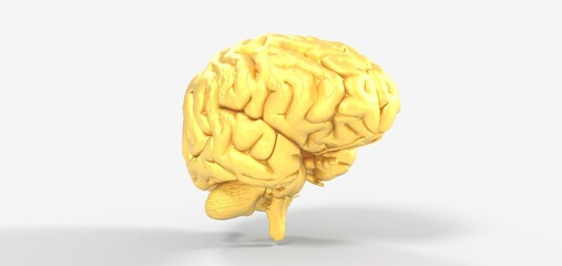 Colorful polygonal 3D brain illustration on BG.