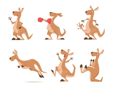Kangaroo. Tropical wild animal kangaroo from australia exact vector cartoon funny characters isolated