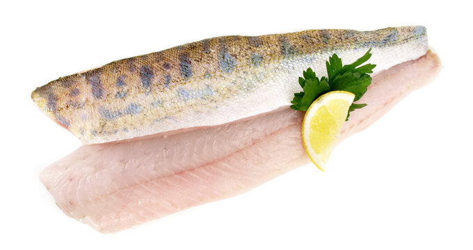 Sander - Pikeperch Fish Fillet, isolated on white Background.