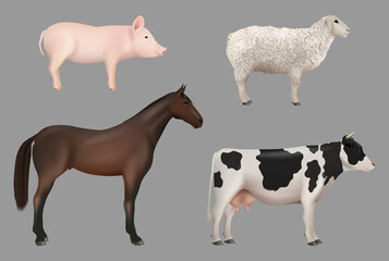 Farm animals. Domestic cow with milk pig horse sheep decent vector realistic animals collection