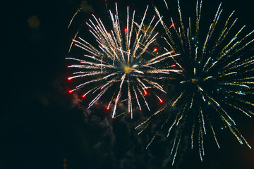 Bright fireworks in the night sky