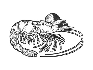 Cartoon shrimp with cap and sunglasses sketch engraving vector illustration. T-shirt apparel print design. Scratch board imitation. Black and white hand drawn image.