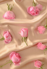 A pattern of pink roses spontaneously arranged on a satin beige background. Summer spring flowers elegant concept.