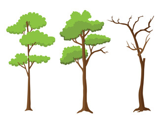 Collection of trees illustrations. tree set isolated on white background. vector illustration.