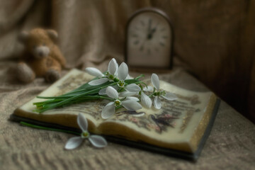 snowdrops on a wax book, clock and bear toy