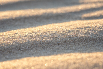 Sand dunes in the desert, natural abstract background, closeup texture