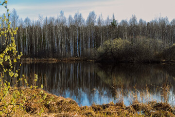 lake in autumn