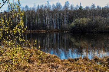 lake in autumn