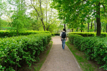 A man with a backpack walks in the park on the path in early spring. Recreation, walking, forest, vegetation.