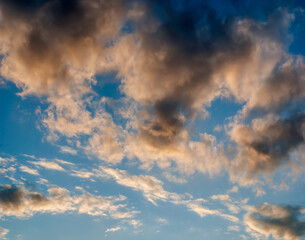 Clouds Making Shape Similar to Animal Face in Evening Light of Sunset on Blue Sky Background - Overcast Western Sky in Spring Dusk Time - Belarus Minsk