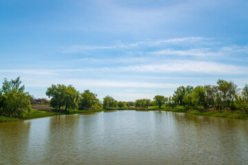 lake in the park