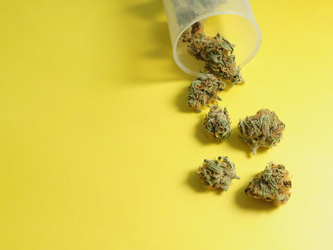 Marijuana micro-dosing concept. Cannabis buds in plastic cup on yellow background. CBD therapy, medical usage. Natural antidepressan, top view, flat lay.