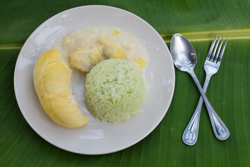 Thai sweet sticky rice with Durian.dessert popular in Thailand.Sticky rice made from pandan leaves
