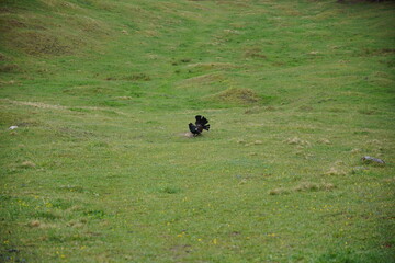Wanderung Hohe Asten: Auerhahn-Begegnung