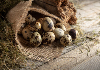 Quail eggs on an old wooden table.