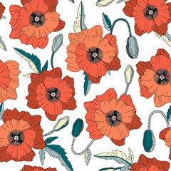Vector seamless pattern with red poppies flowers on white background. Botanical design for packaging, wrapping paper, wallpaper, fabric. Summer floral backdrop with poppy flowers.