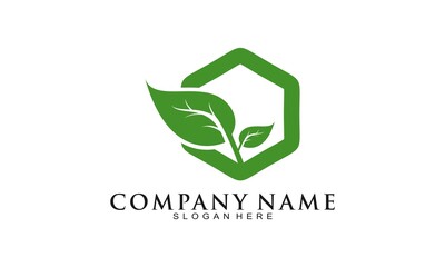 Elegant leaf vector logo