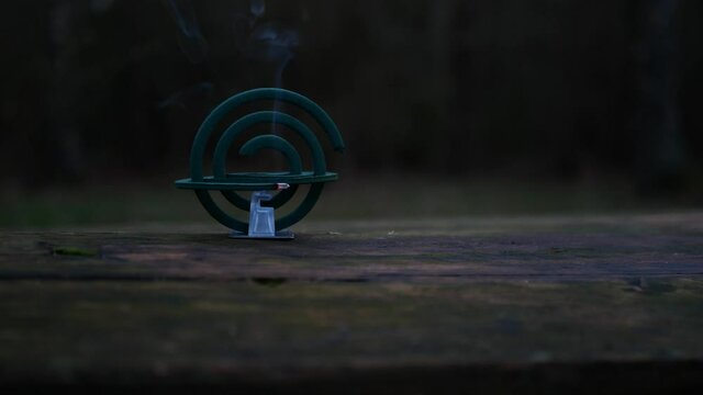 Mosquito coil is continuous smoldering in the dusk. Mosquito-repelling incense made into a spiral