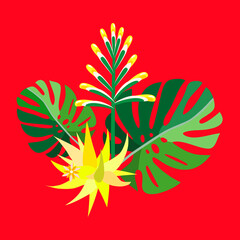 Fototapeta premium Philodendron leaves with blooms and cactus.