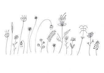 Hand drawing of small flowers with black ink,on white paper