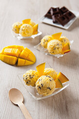 Mango ice cream with chocolate chips (ph. Archivio Collection)