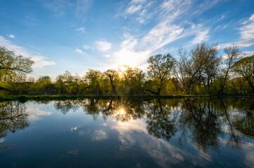 body of water in the park is overgrown mud