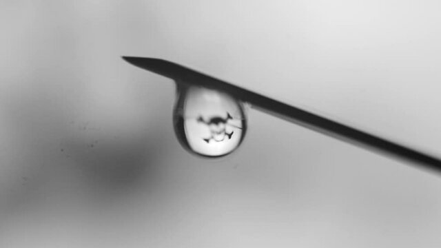 vaccination, drugs kill concept, dripping drops from the syringes needle close up. lethal dose. skull in a drop. death at the tip. soft grey gradient background. horizontal slow motion macro HD video.