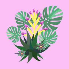 Philodendron leaves with blooms and cactus.