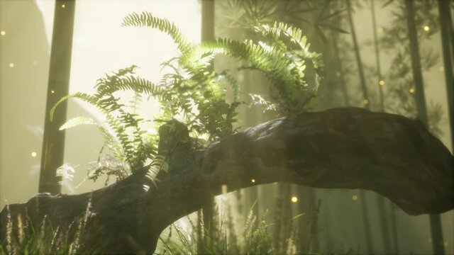 horizontally bending tree trunk with ferns growing, and sunlight shining