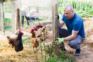 Positive farmer builds chicken coop fence on farm © JackF