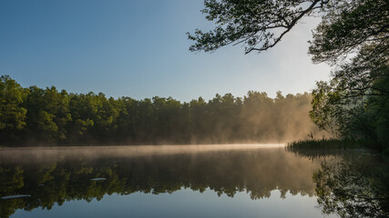 Beautiful forest reflected in the water of the lake. Spring in Gdansk.