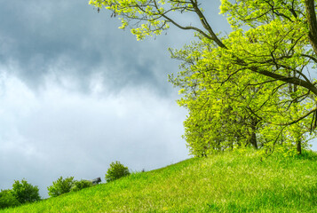 Landschaft auf der Halde Rungenberg in Gelsenkirchen Buer