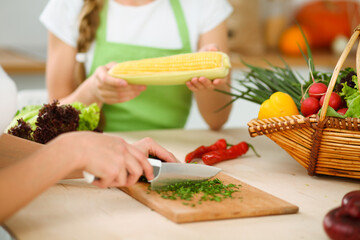 Unknown young woman slicing greens for a delicious fresh vegetarian salad while sitting and smiling at the kitchen desk, just hands, close-up. Cooking concept