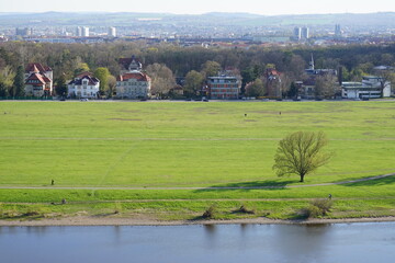 Fototapeta na wymiar Blick vom Elbschloss über die Elbe und Elbwiesen in Dresden