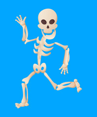 Funny cartoon skeleton posing while running. Bony character. Human bones illustration skeletal. Dead man on color background