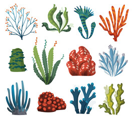 Set of watercolor seaweed and corals isolated on white background. Underwater algae. Aquarium plants collection. Marine life. Isolated corals and algae. Underwater flora © the8monkey
